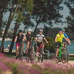 Apartmaji Soncek アパート *