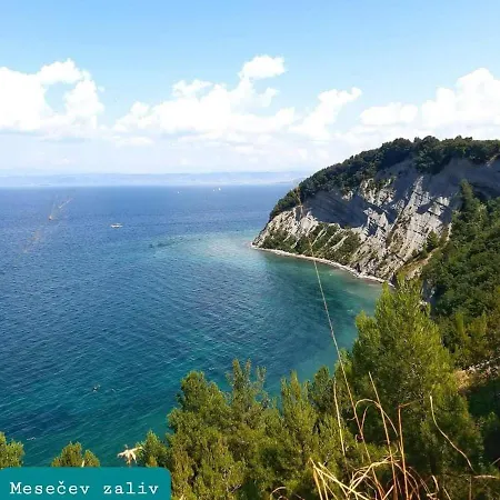 Apartmaji Soncek * Izola