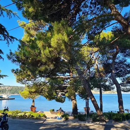 Apartmaji Soncek Izola