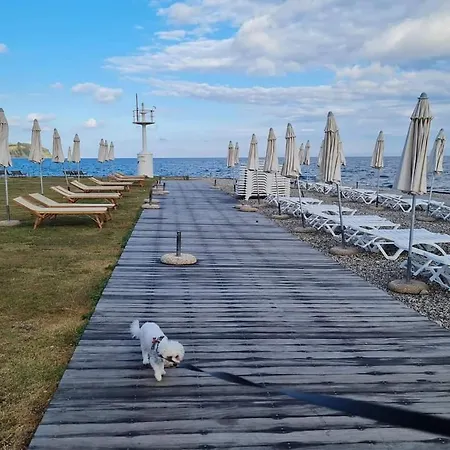 Apartmaji Soncek Appartamento Izola