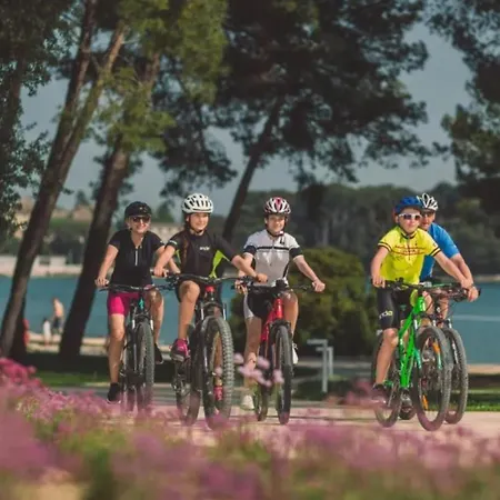 Apartmaji Soncek Lejlighed *