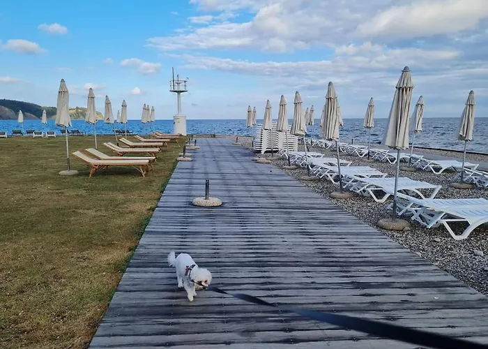 Apartmaji Soncek شقة إيزولا